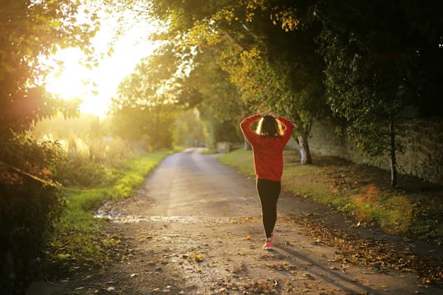 Person walking a sunlit tree-lined path, suggesting forward movement and fresh starts